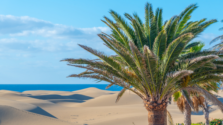 GR Gran Canaria