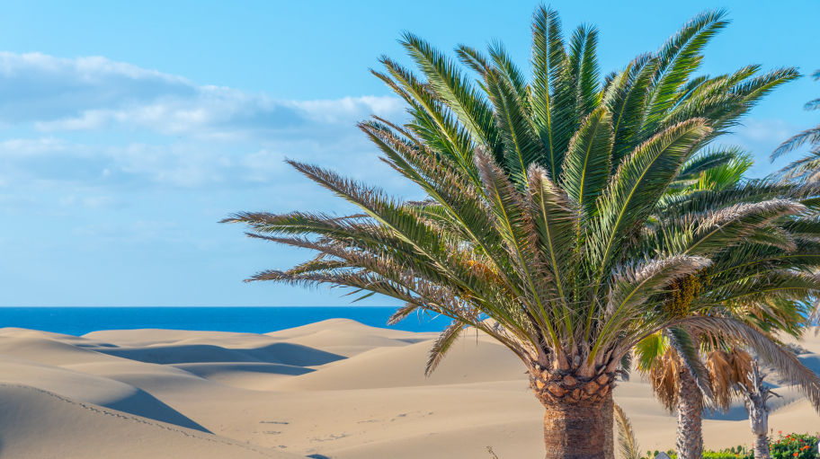 GR Gran Canaria